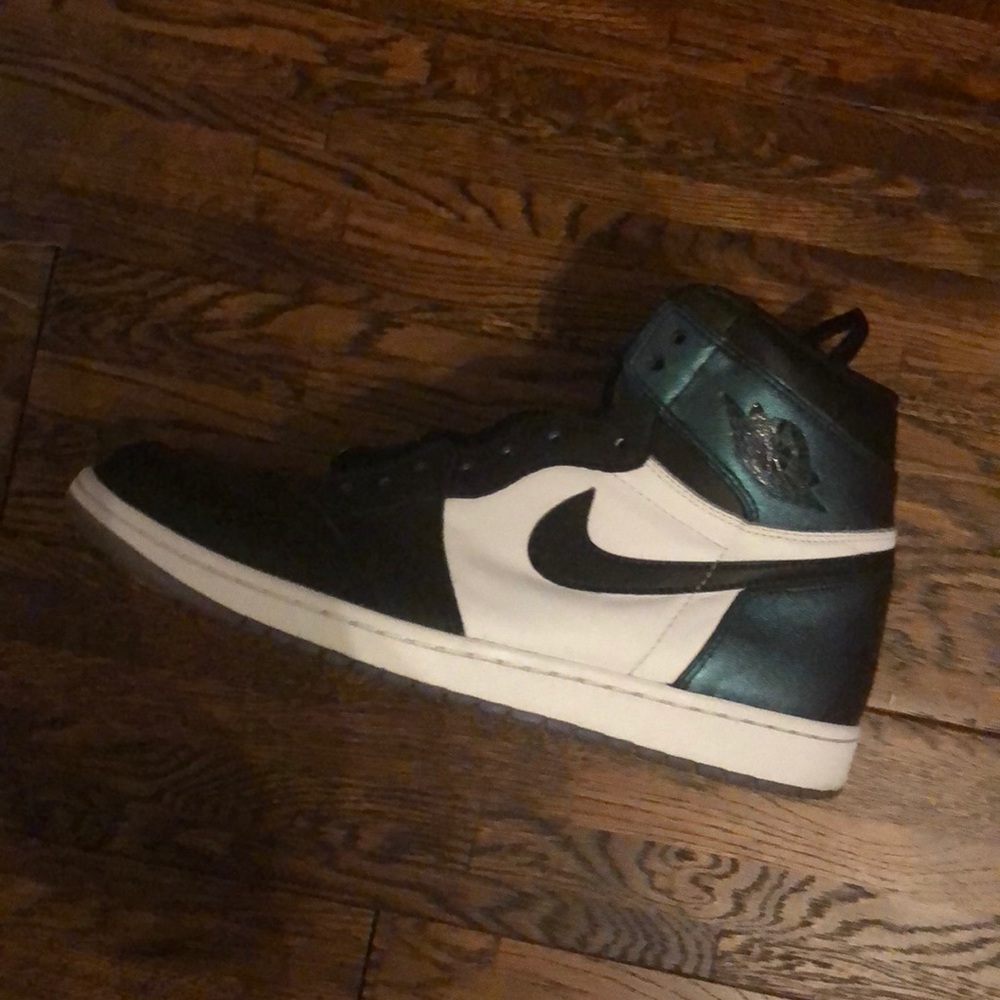Chameleon Jordan 1s (US SIZE 11.5)